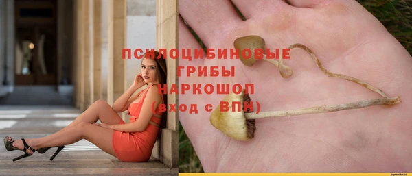 гашиш Белокуриха