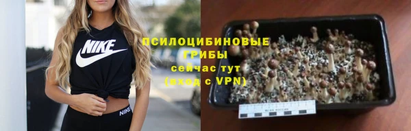 гашиш Белокуриха