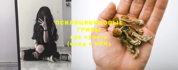 гашиш Белокуриха