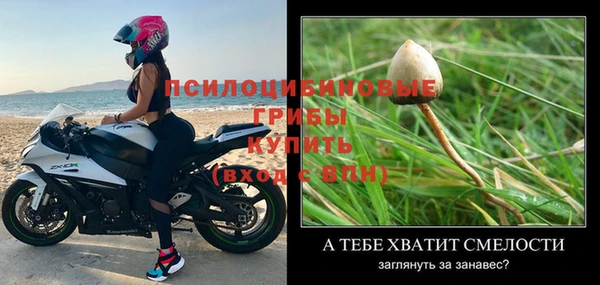 первитин Белоозёрский
